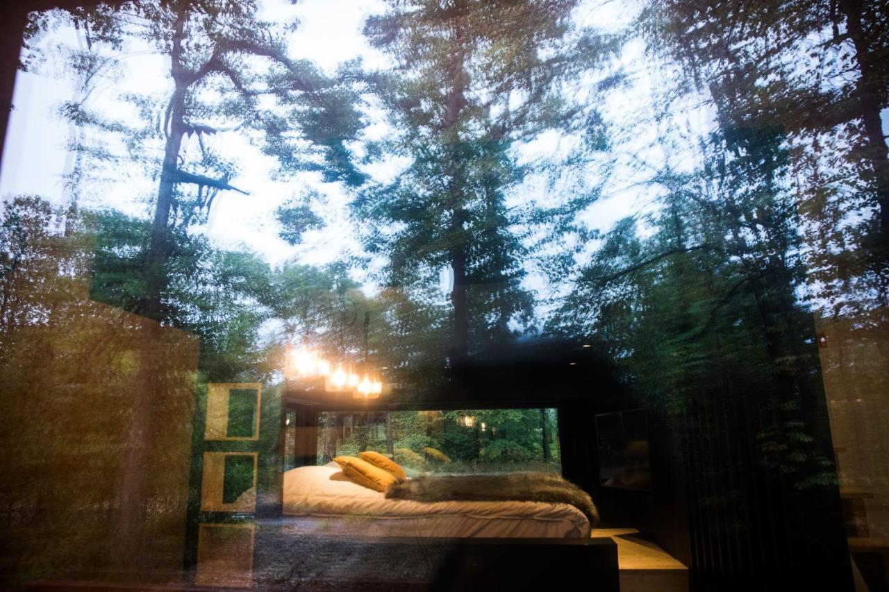 Forest Cube Oignies Eksteriør billede
